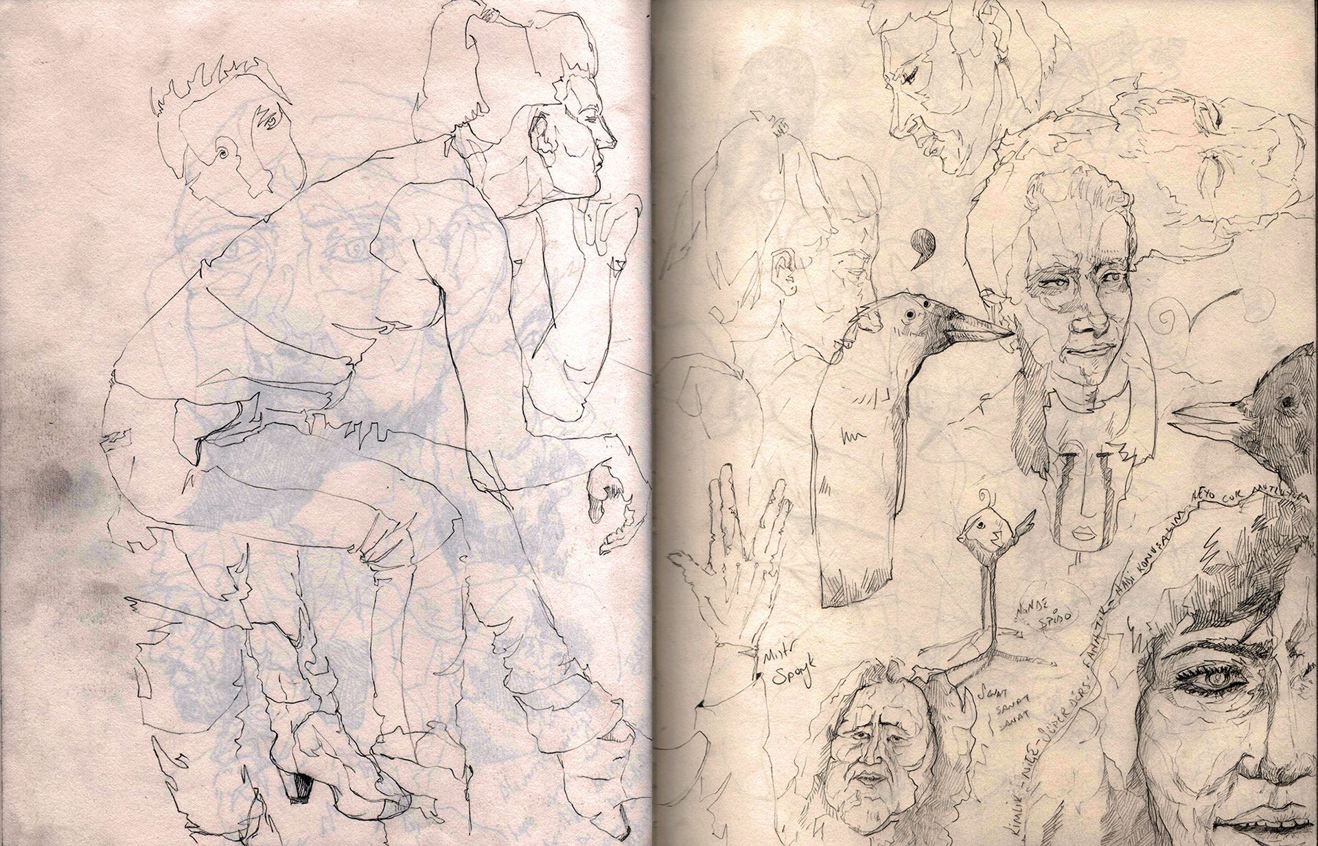 Sketch Book